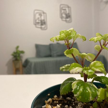 Tierra Alojamientos سالتا المظهر الخارجي الصورة